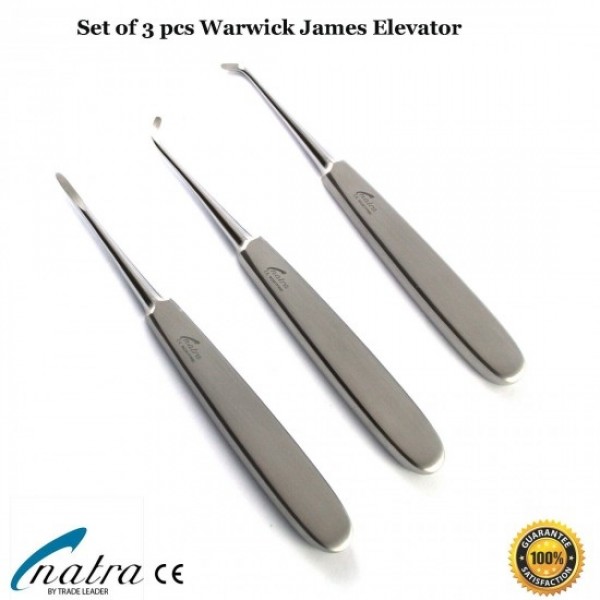 Warwick James